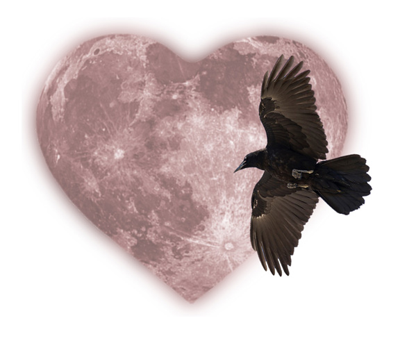 Raven's Heart Healing Arts